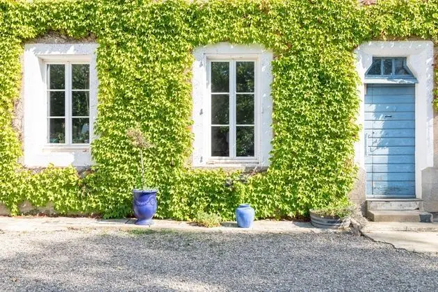 Château Pech-Céleyran - Genel