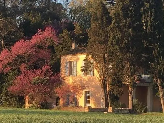 Château Pech-Céleyran - Öne Çıkan Resim