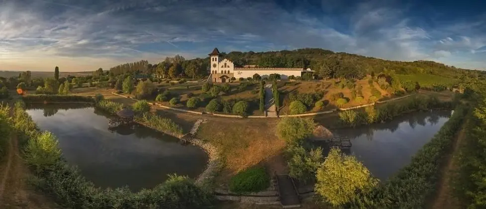 Chateau Purcari - 1