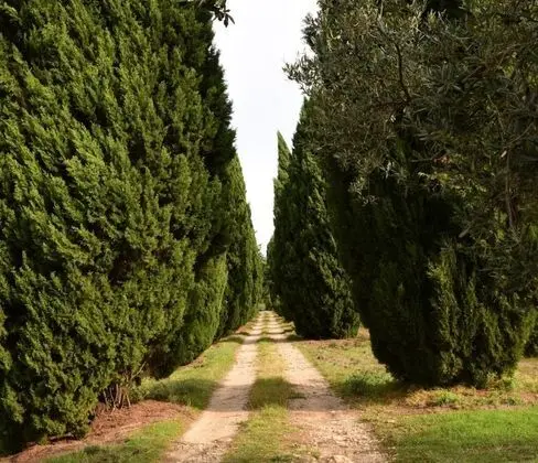 Château Saint-Esprit - Dış Mekan