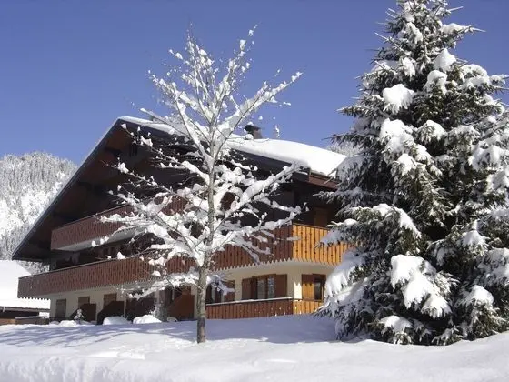 Châtel Réservation - Dış Mekan