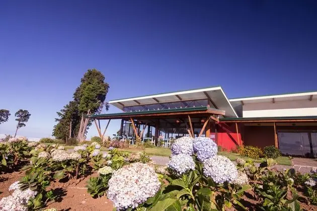 Chayote lodge