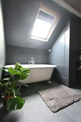 Cheap, Affordable Luxury in Antwerp Cc-4 - Oda