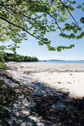 Chebeague Island Inn - Plaj