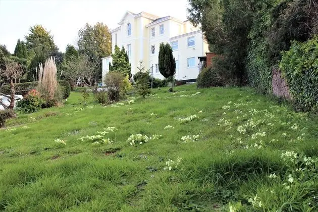 Chelston Dene Holiday Apartments - Dış Mekan