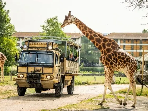 Chessington Safari Hotel - Dış Mekan