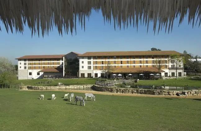 Chessington Safari Hotel - Öne Çıkan Resim