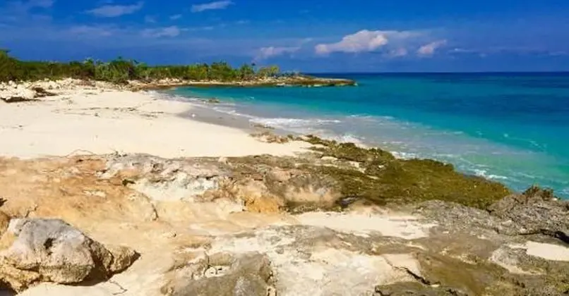Chesters Bonefish Lodge - Plaj
