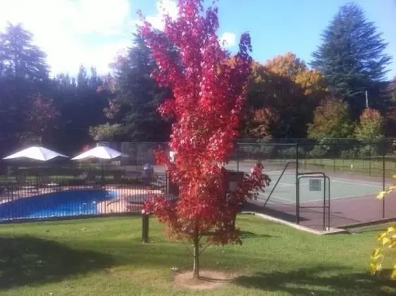 Chestnut Tree Holiday Apartments - Havuz