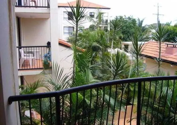 Chevron Palms