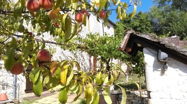 Chez Lavergne Table D'Hôtes
