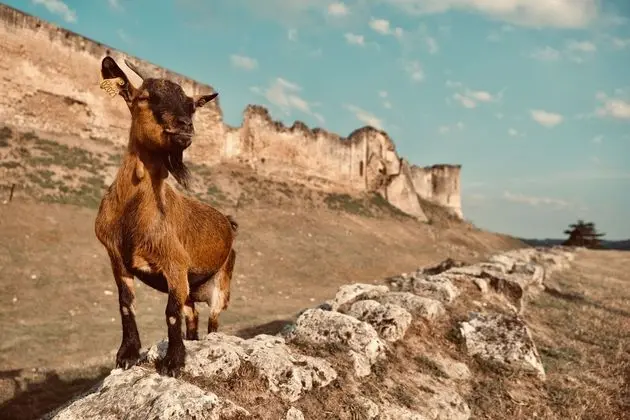 Chez Ric et Fer - Dış Mekan