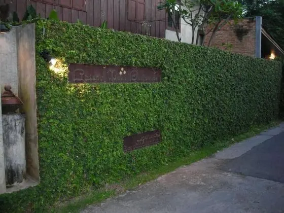 Chiang Maan Residence - Dış Mekan