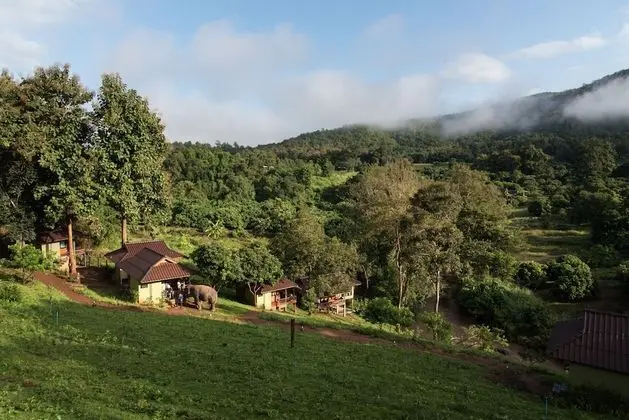 Chiang Mai Elephant Friends - Dış Mekan