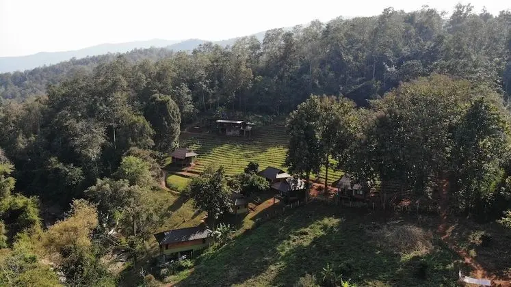 Chiang Mai Elephant Friends - 1
