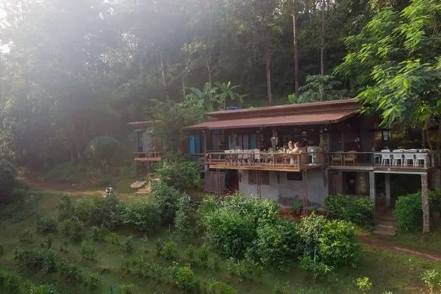 Chiang Mai Elephant Friends - Yerinde Yemek