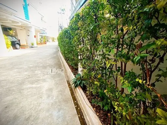 Chiangmai Lodge