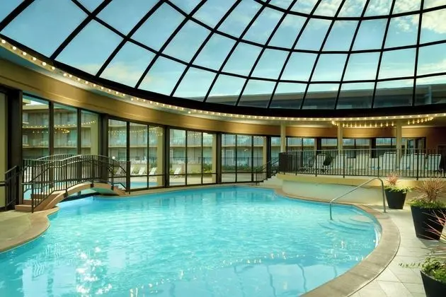 Chicago Marriott O'Hare - Havuz
