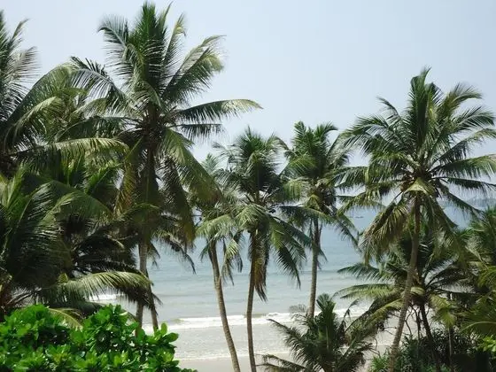 Chill Bay Weligama - Plaj