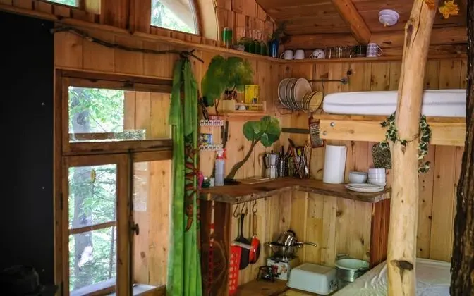 Chimo Refuges Treehouse Resort - Oda Düzeni