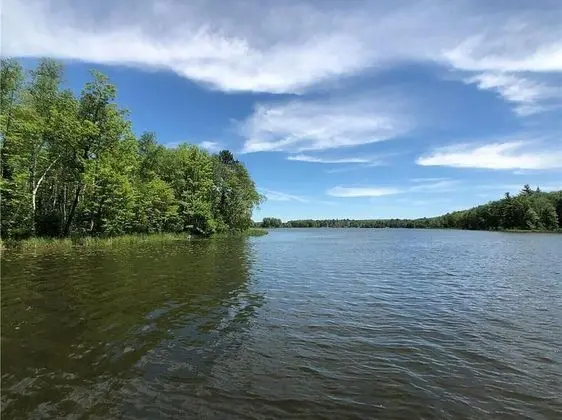 Chippewa Flowage Lake House - Plaj