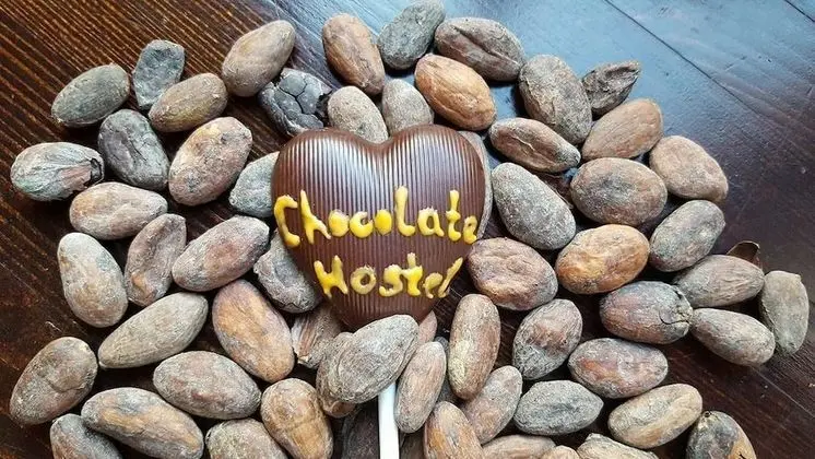 Chocolate hostel - Öne Çıkan Resim