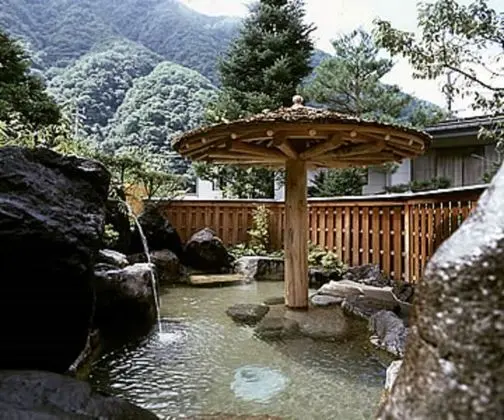Chohsaku No Yado Nakadaya - Spa
