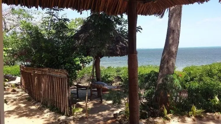Chole Foxes lodge - Dış Mekan