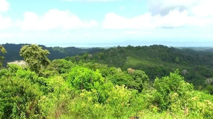 Chosa Manglar Nature Retreat
