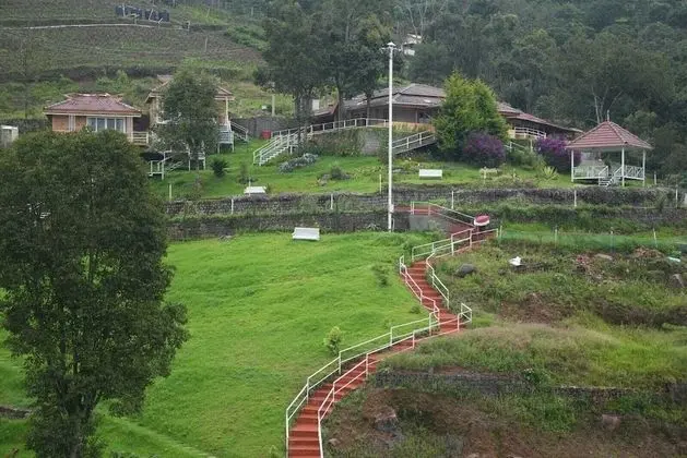 Chow Chow Valley