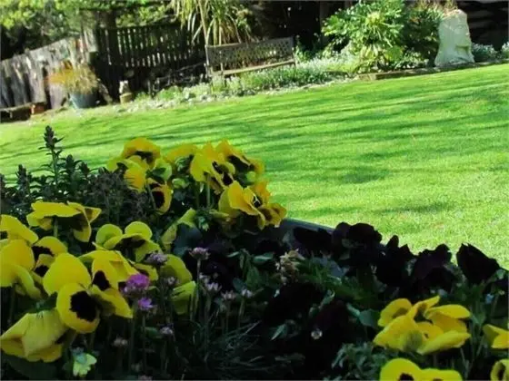 Christchurch City & Country Cottages - Nut Point Cottage - Dış Mekan