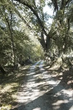 Chrysalide Saint Martin - Dış Mekan