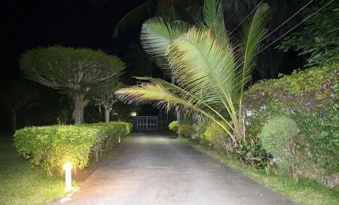 Chrystal Palace - Dış Mekan