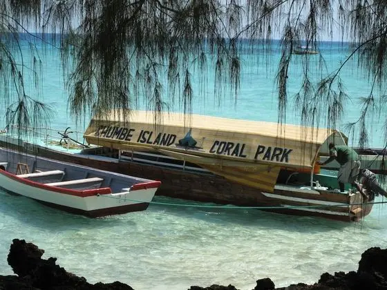Chumbe Island Coral Park - Plaj