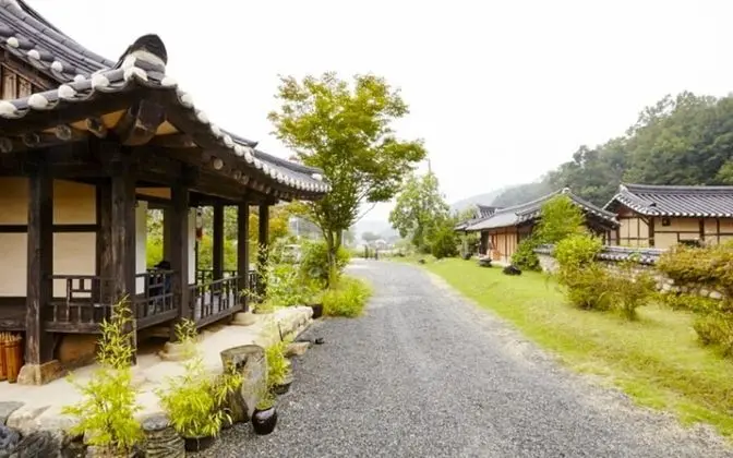 Chungju Wildflowers and Gotaengnadeuri