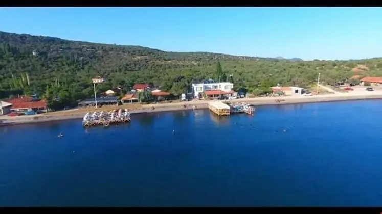 Cicek Butik Otel - Genel