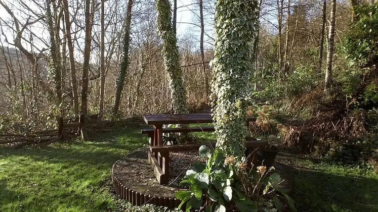 Cilbrwyn Countryside Retreat - Dış Mekan