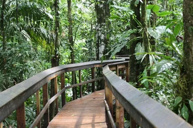 Cinco Ceibas Lodge - Dış Mekan