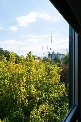 Cinco Soles Apart-Hotel - İç Mekan