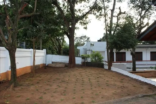 Cinnamon CASA