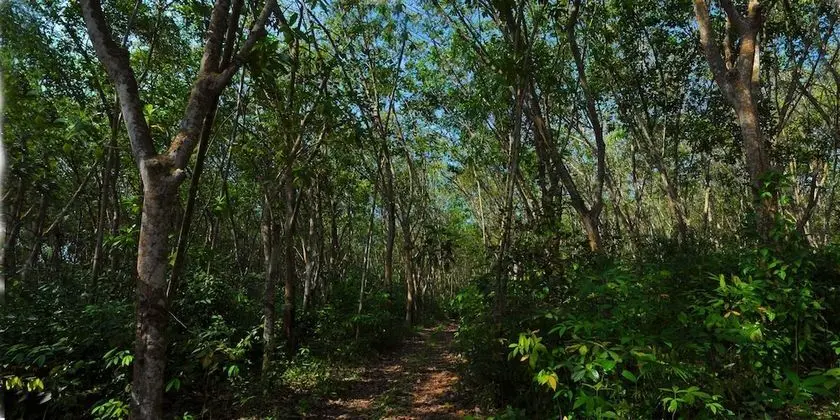 Cinnamon Trails - Dış Mekan