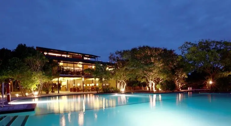 Cinnamon Wild Yala