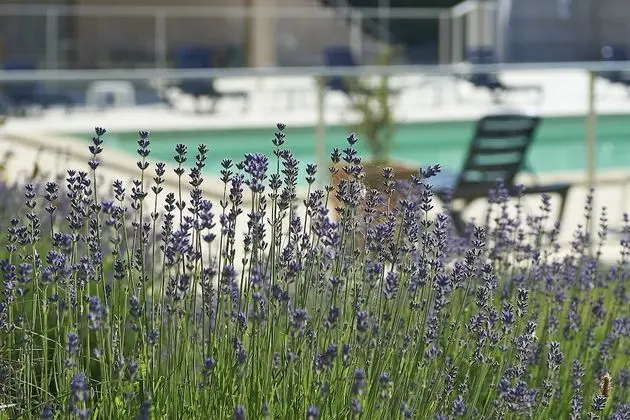 Citotel Les Alizes - Havuz