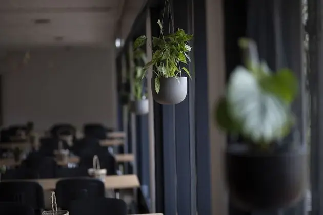 Citi Hotel Sønderborg - Yerinde Yemek
