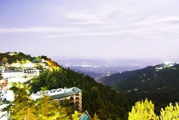 Citrus Classic Mcleodganj