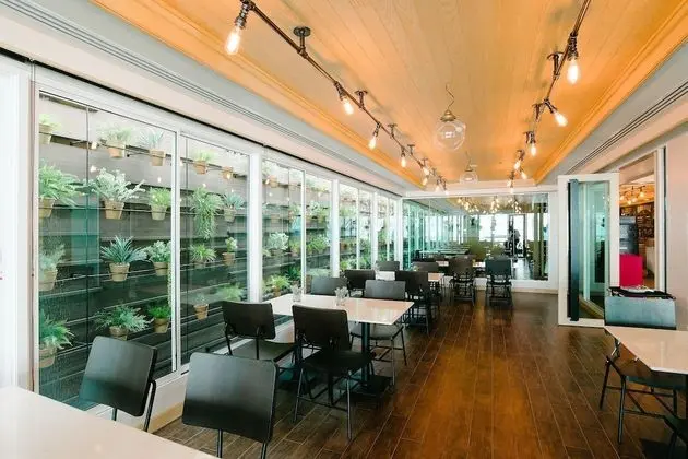 Citrus Sukhumvit 11 Bangkok by Compass Hospitality - Yerinde Yemek