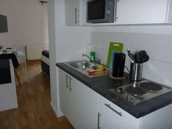 City Apartment Karlsruhe - Mutfak