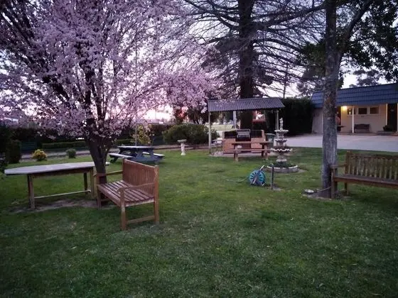 City Park Motel & Apartments - Dış Mekan