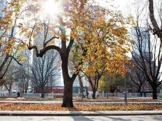 The Clarence Park - Dış Mekan