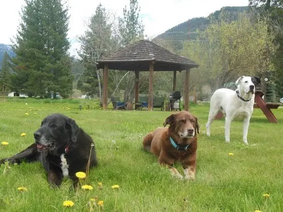 Clark Fork Lodge - Dış Mekan